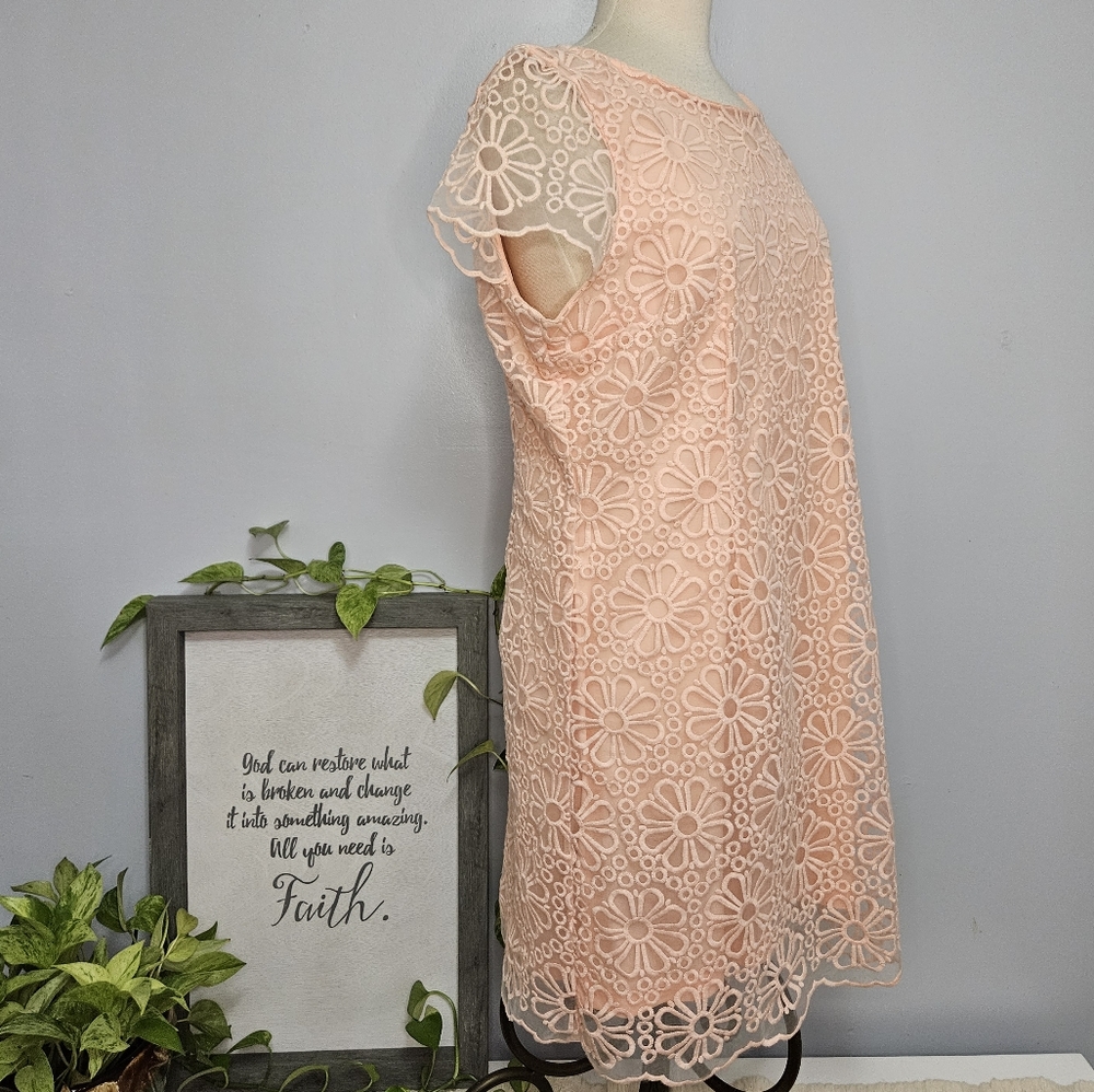 Lace Dress Size 14 New - Picture 6 of 16